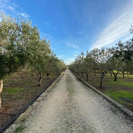 فيلة Valley