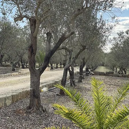 Valley سان بيترو في بيفانا