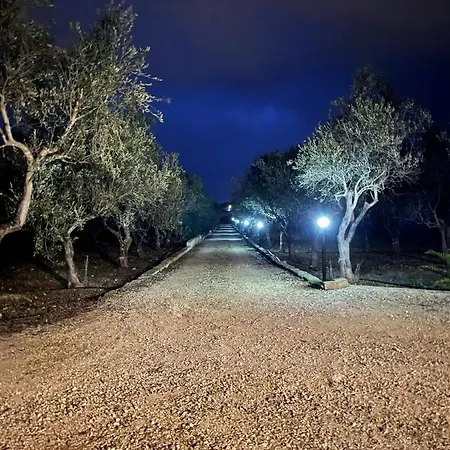 Valley فيلة