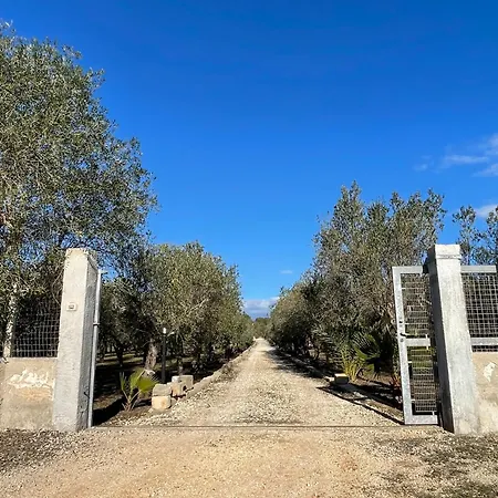 Valley فيلة